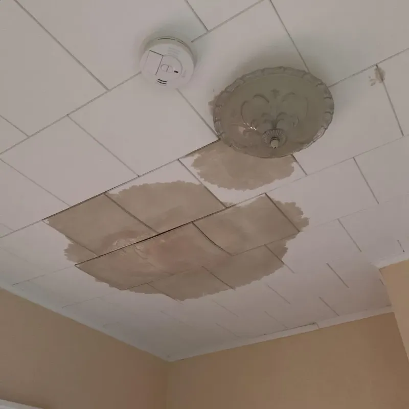Ceiling Water Damage Repair in Prairie Grove, AR